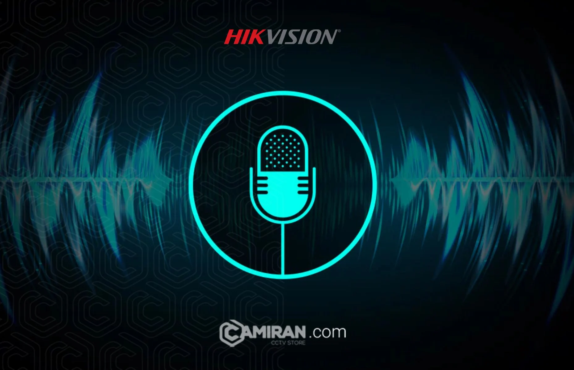 قابلیت ضبط صدا هایک ویژن